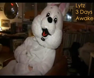 Lytz Lytz