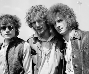 Cream Cream