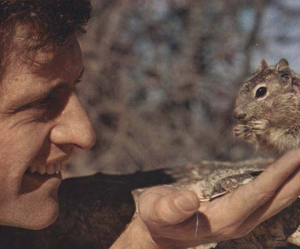 Joe Dassin Joe Dassin