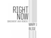Mary J. Blige - Right Now (Basement Jaxx Remix / Audio)