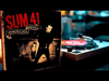 Sum 41 - Underclass Hero Pink/Haze 2XLP (Vinyl)