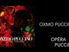 Oxmo Puccino - Le jour où tu partiras