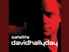 David Hallyday - My Sharona