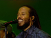 Ziggy Marley –Wild And Free | Live at Exit Festival (2018)