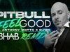 Pitbull - I Feel Good @R3HAB Remix (Visualizer) (feat. Anthony Watts & DJWS)