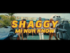 Shaggy - Mi Nuh Know