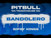 Pitbull - Bandolero (Visualizer)