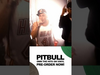 Pitbull On Vinyl daleeee Pre-Order Now