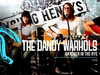 The Dandy Warhols - Catcher in the Rye (Live Acoustic Performance at Young Henrys Brewery)