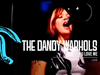 The Dandy Warhols - Now You Love Me (Live at Death Disco Xtra)