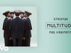 Stromae - Pas vraiment