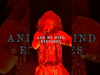 Rob Zombie - The show must go on!