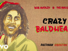 Bob Marley & The Wailers - Crazy Baldhead (Visualizer)