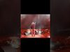 Zucchero - Lucca