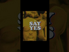 Weezer - Five days remain. We begin with Say Yes.